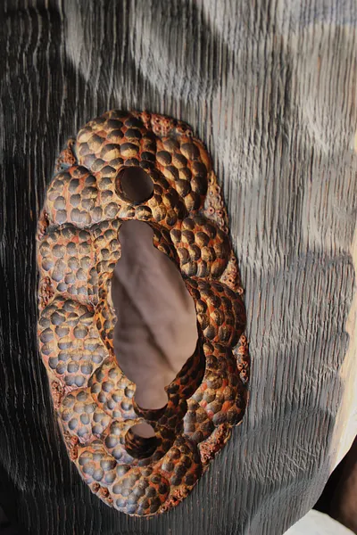 Зображення "Pulsar" від Andrii Hunka, розмір: 46*24*9.5, матеріали: Дерево, акрил, натуральне масло, медіум: Скульптура, місто: Львів , серія: Universe, ціна: $400 Фото 4 з 8.