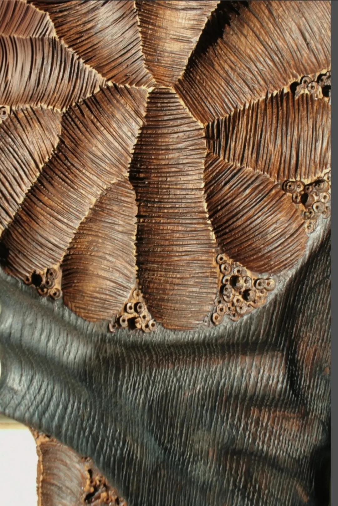 Зображення "Фундація" від Andrii Hunka, розмір: 45*29*8, матеріали: Дерево, натуральне масло, медіум: Скульптура, місто: Львів , серія: Annihilation, ціна: $300 Фото 2 з 9.