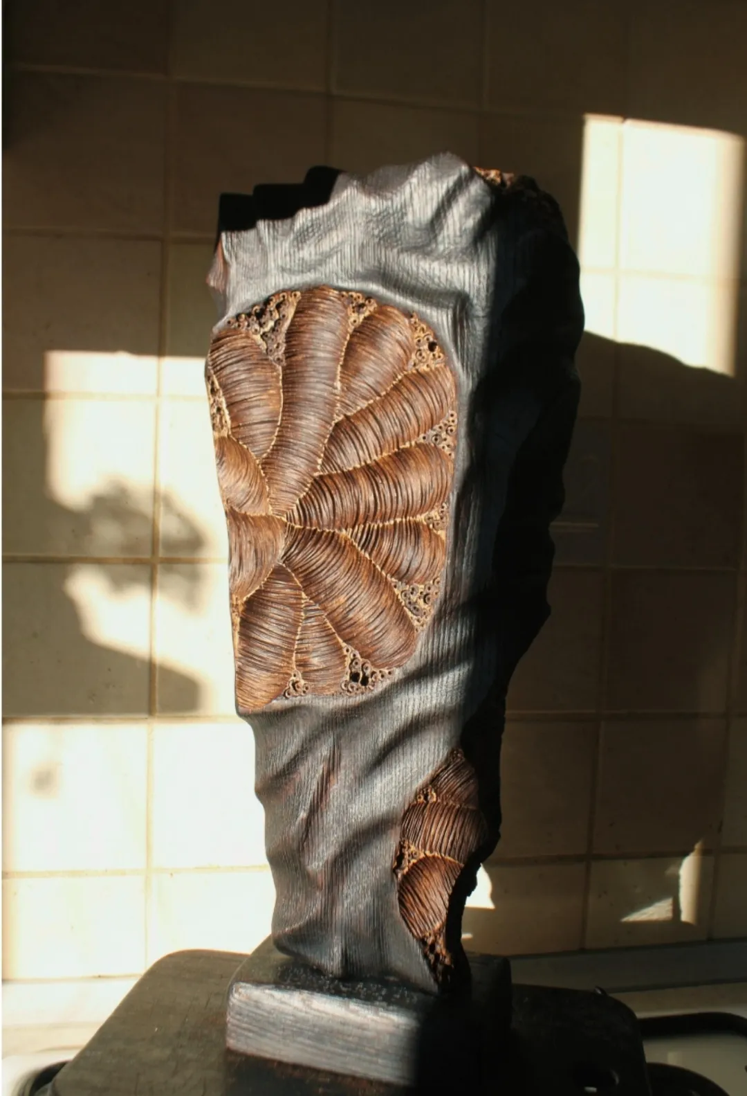 Зображення "Фундація" від Andrii Hunka, розмір: 45*29*8, матеріали: Дерево, натуральне масло, медіум: Скульптура, місто: Львів , серія: Annihilation, ціна: $300 Фото 3 з 9.