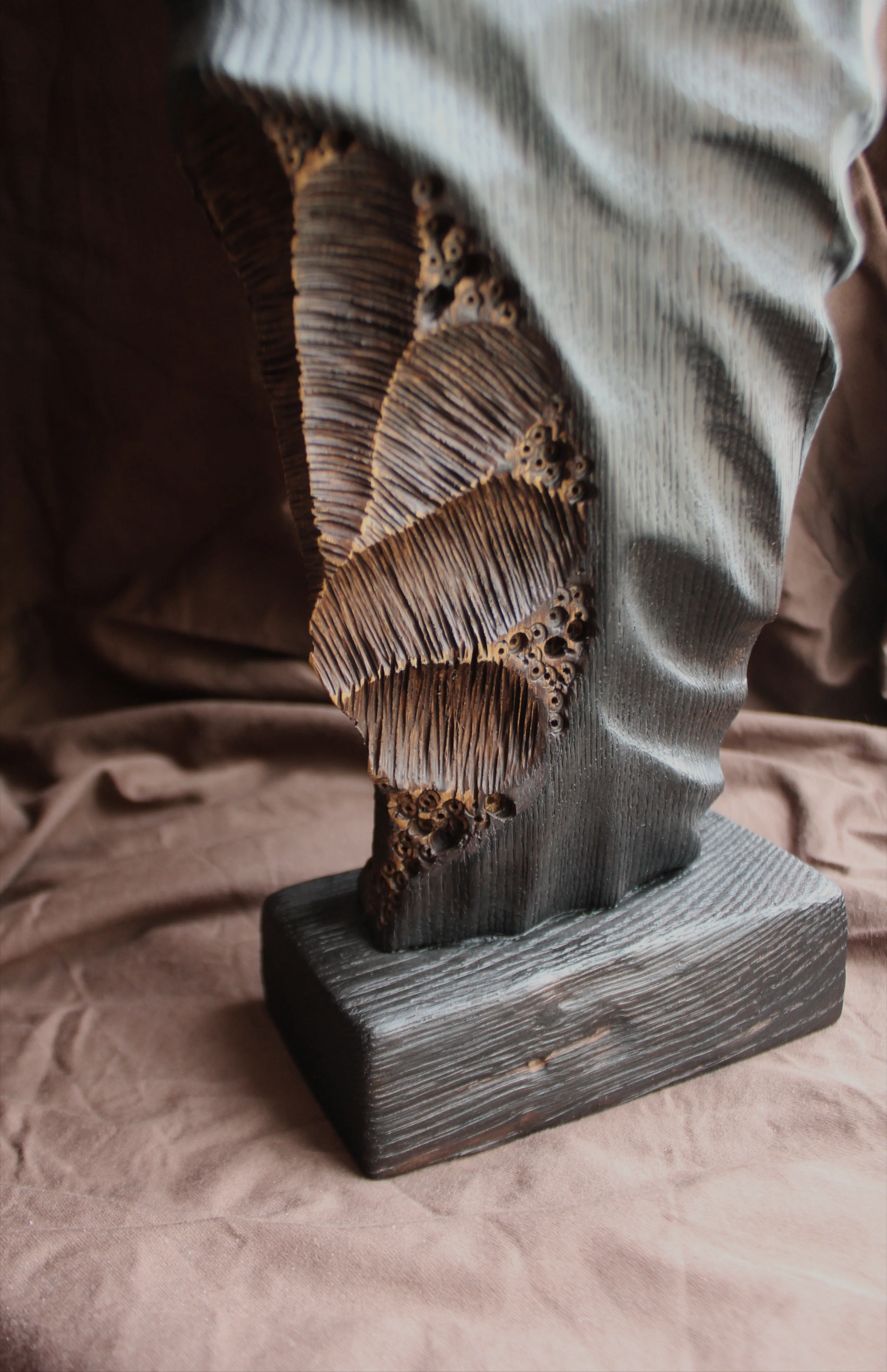 Зображення "Фундація" від Andrii Hunka, розмір: 45*29*8, матеріали: Дерево, натуральне масло, медіум: Скульптура, місто: Львів , серія: Annihilation, ціна: $300 Фото 5 з 9.