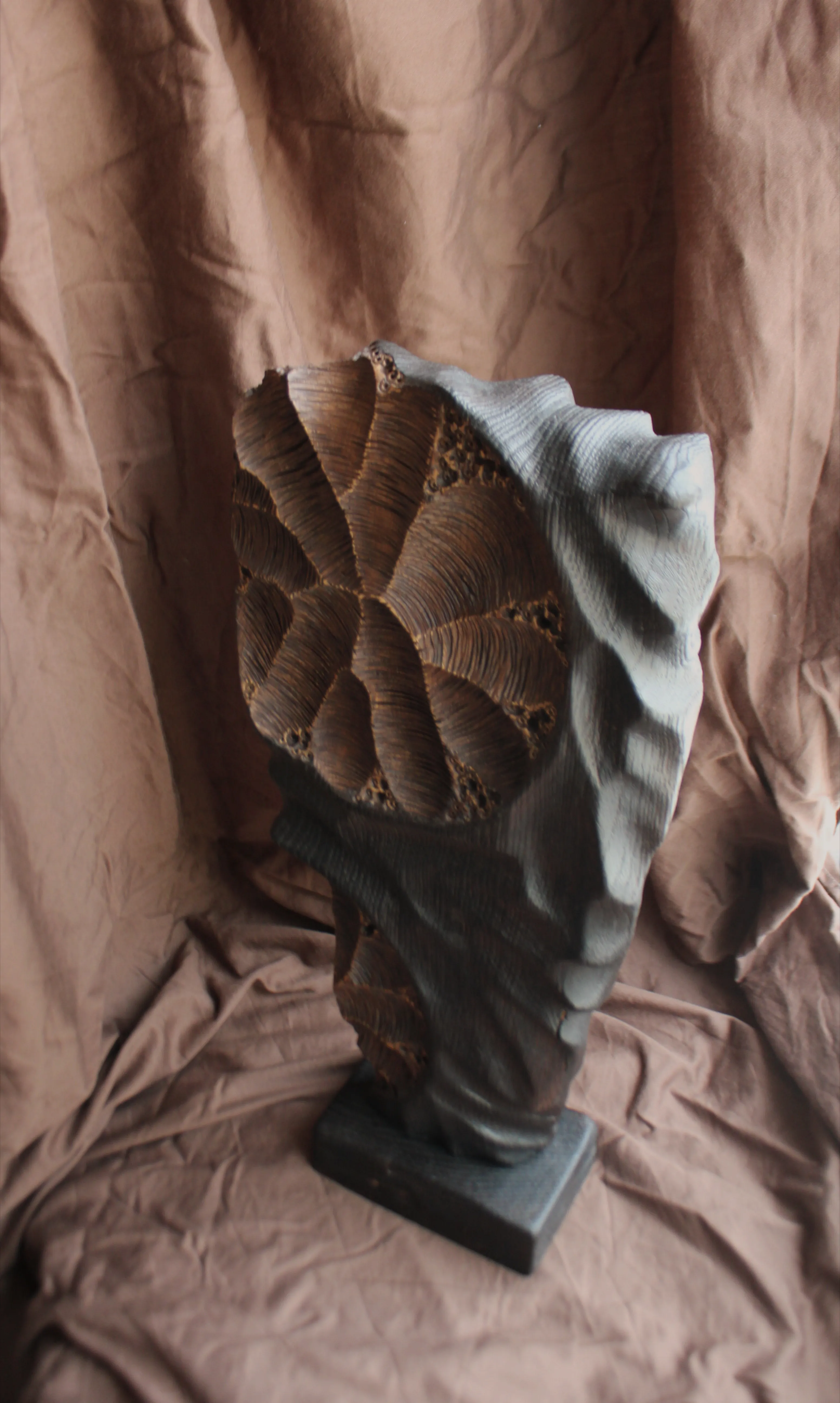 Зображення "Фундація" від Andrii Hunka, розмір: 45*29*8, матеріали: Дерево, натуральне масло, медіум: Скульптура, місто: Львів , серія: Annihilation, ціна: $300 Фото 7 з 9.