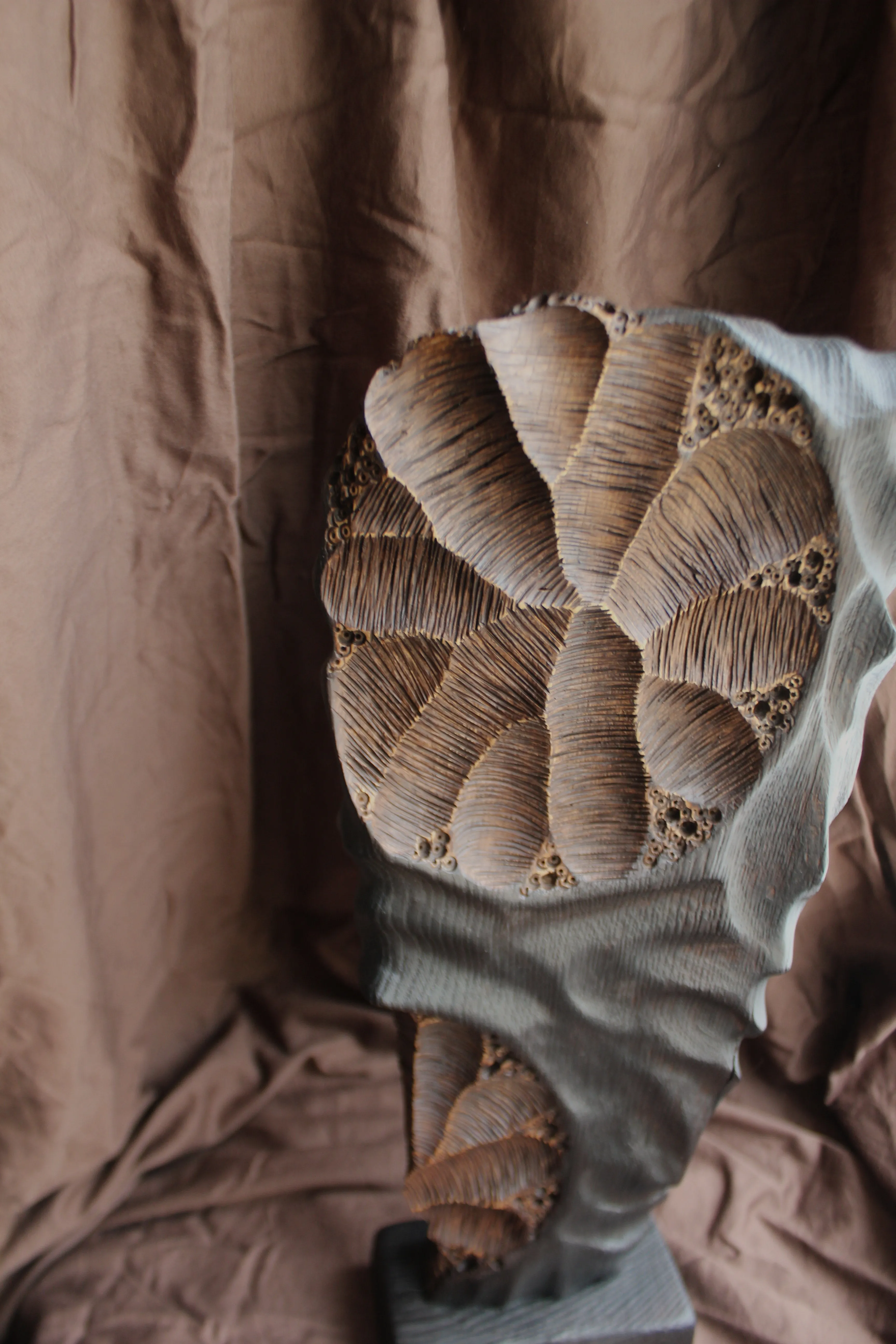 Зображення "Фундація" від Andrii Hunka, розмір: 45*29*8, матеріали: Дерево, натуральне масло, медіум: Скульптура, місто: Львів , серія: Annihilation, ціна: $300 Фото 8 з 9.