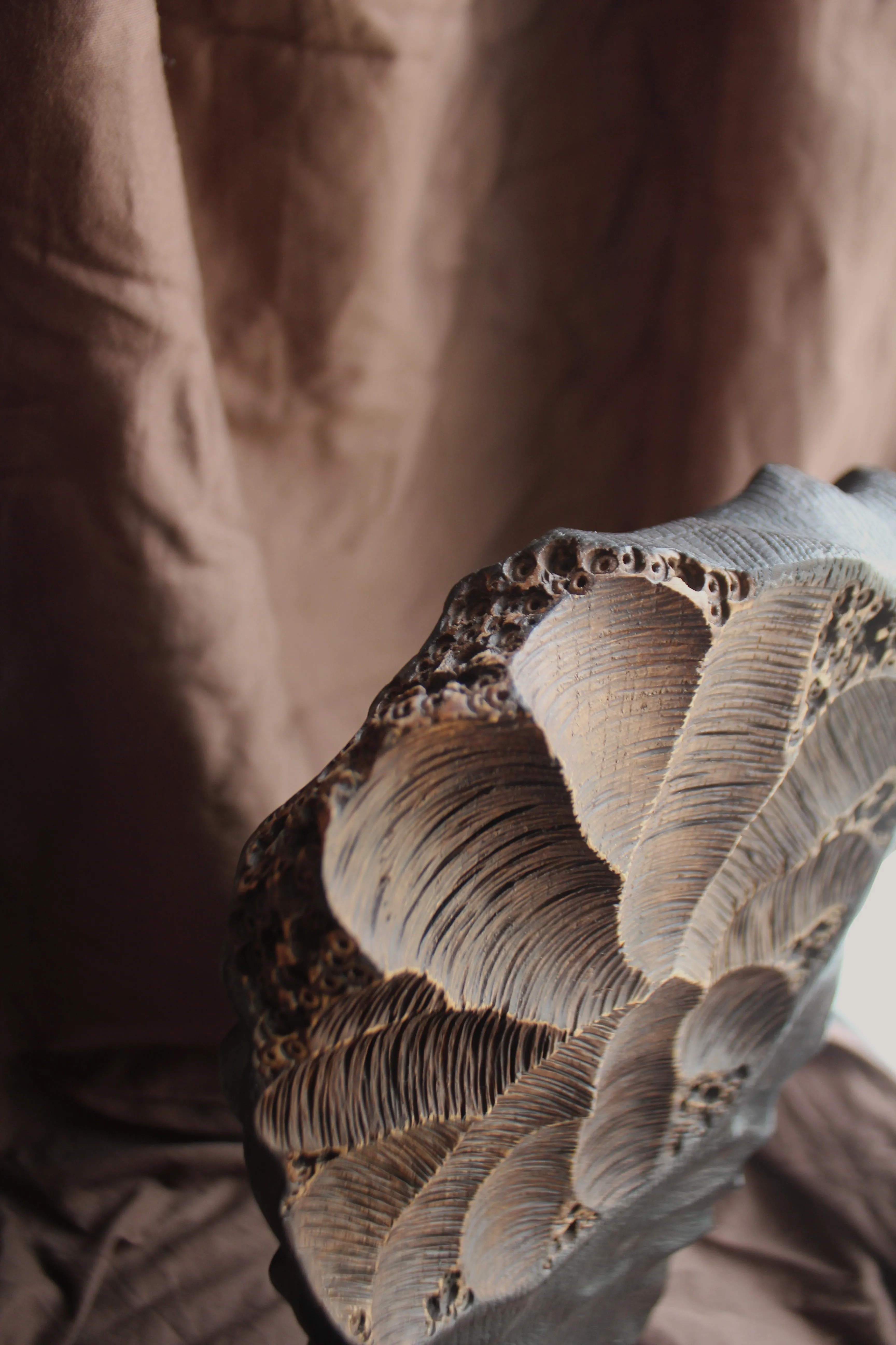 Зображення "Фундація" від Andrii Hunka, розмір: 45*29*8, матеріали: Дерево, натуральне масло, медіум: Скульптура, місто: Львів , серія: Annihilation, ціна: $300 Фото 9 з 9.