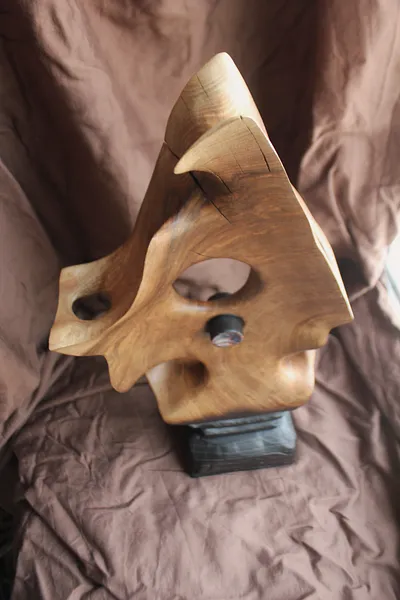 Зображення "Стержень" від Andrii Hunka, розмір: 44*21*11, матеріали: Дерево, натуральне масло,акрил, медіум: Скульптура, місто: Львів , серія: Annihilation, ціна: $250 Фото 10 з 11.